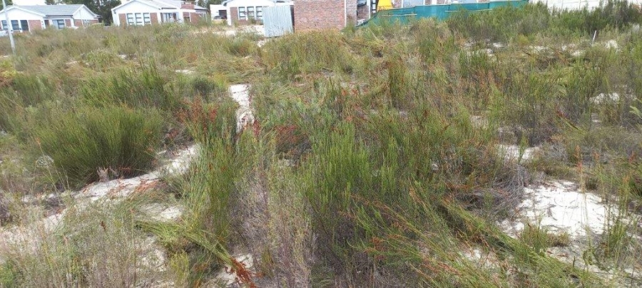 0 Bedroom Property for Sale in Albertinia Western Cape